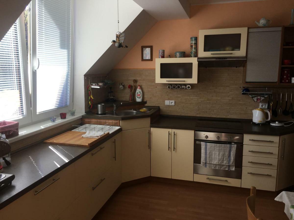 Apartman Horni Lipova エクステリア 写真